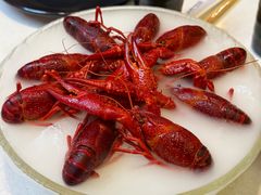 -红盔甲·小龙虾(天钥桥店)