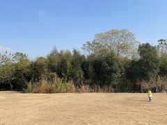 -良渚古城遗址公园