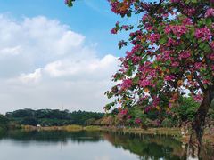 -松山湖风景区松湖烟雨
