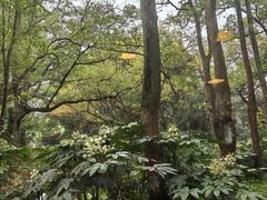 -西郊宾馆·1921餐厅