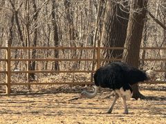 -秦皇岛野生动物园