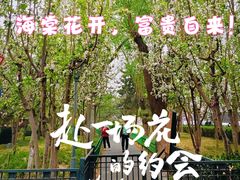 -顺城公园