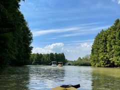 -上海海湾国家森林公园