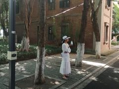 -八卦楼风琴博物馆