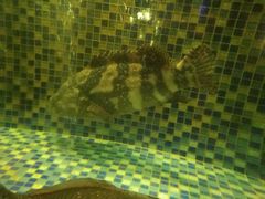 -海皇食府(水都假日酒店店)