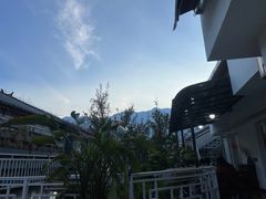 -阿鹏故事云南野生菌火锅(人民路店)
