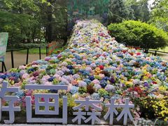 -上海共青森林公园