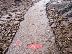 -西湖风景区十里琅珰-五云山
