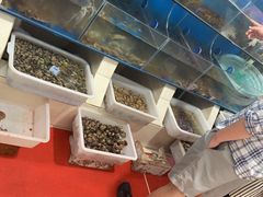 -宾朋海鲜特色美食餐厅·纯手工鲅鱼水饺(兴海路店)