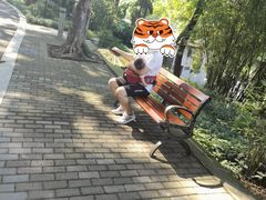 -重庆彩云湖湿地公园