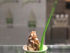 -Salud撒露欧洲冻酸奶(北苑上品店)