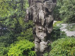 -汇龙潭