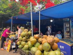 -东寨港红树林旅游区