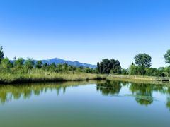 -野鸭湖国家湿地公园