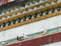 -南华禅寺