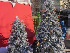 -中粮·祥云小镇