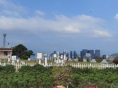 -乌山风景区