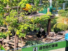 -大连森林动物园