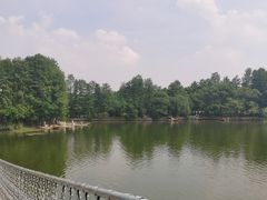 -东湖落雁景区