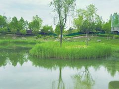 -中关村生命科学园