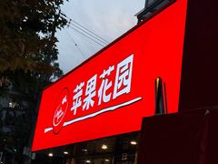 -苹果花园(莘谭路店)