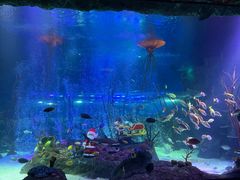 -沈阳海洋探索中心