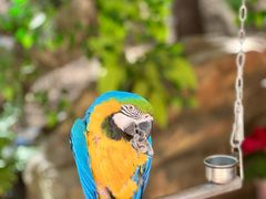 -燕塞湖鸟语林景区