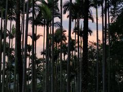 -荔枝公园(福田区)