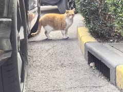 -上海外国语大学(虹口校区)