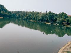 -象山森林公园