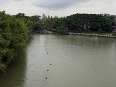-江心屿景区