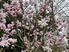 -上海滨江森林公园
