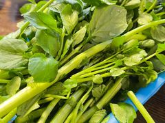 -三友乌鱼菜馆(金洲北路店)