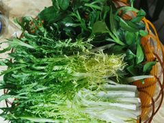 人参苗-一煲鸽