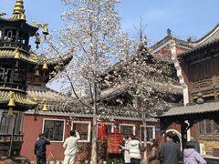 -长春观