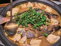 -探鱼·鲜青椒爽麻烤鱼(苏宁广场店)