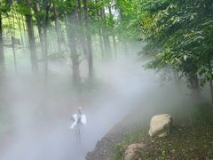 -东明山森林公园