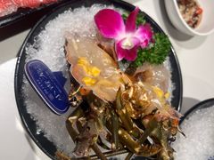 -海月轩海鲜豆捞(紫金塔店)