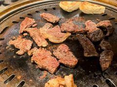 -杨小佳·齐齐哈尔烤肉·烤串(广州店)