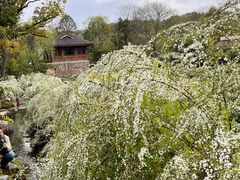 -中国茶叶博物馆(双峰馆区)