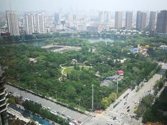 -君悦酒店·乐厨·高空自助餐(青年大街店)