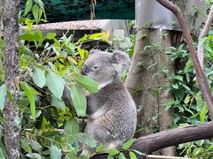 -可伦宾野生动物保护区