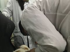 -成都民大动物医院