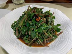 凉拌马齿苋-谢氏老金口(江夏武昌大道店)