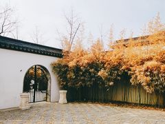 -桃花堤公园