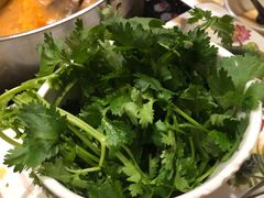 香菜-圣福琚川味火锅(金伦花园店)