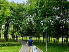 -洨河生态公园
