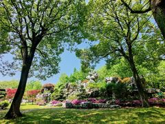 -上海鲜花港