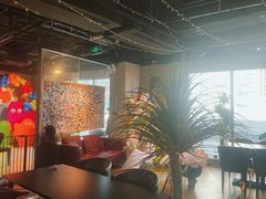 -百好乐宠物友好餐厅(朝外大街店)