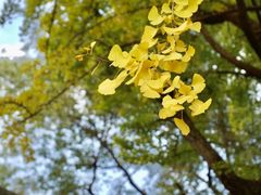 -成都市文殊院